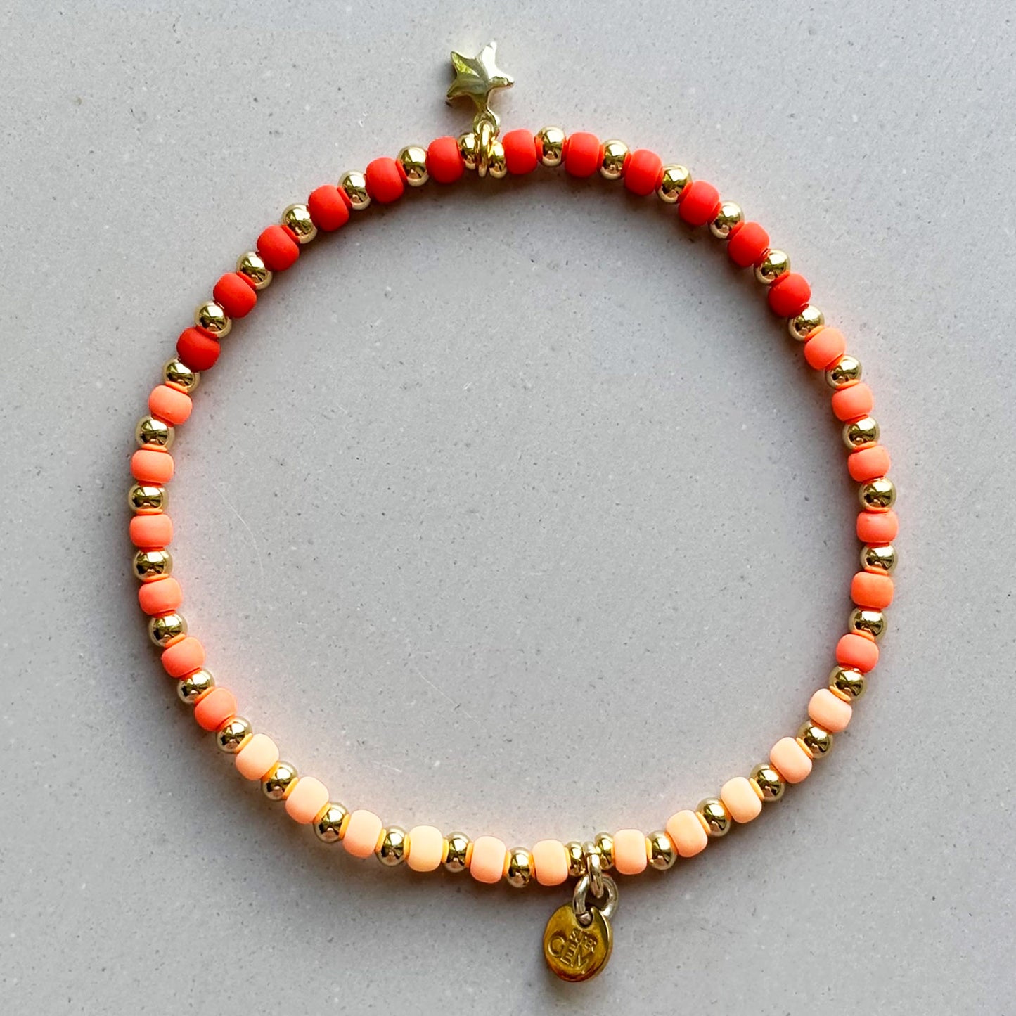 GOLDEN STAR CORAL