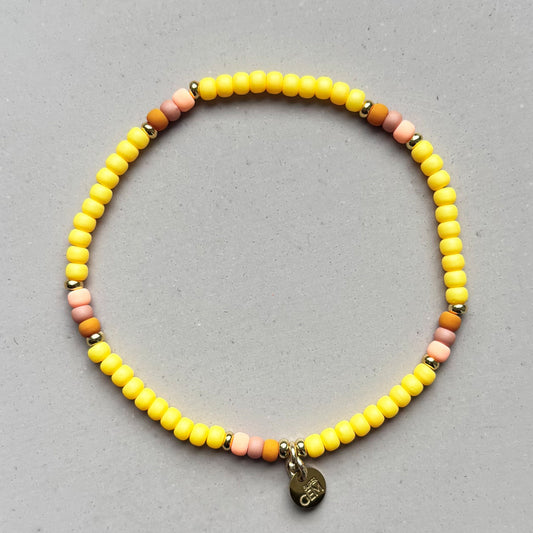 MINI ROC SUNSHINE